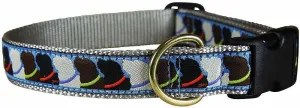 Belted Cow Who Wants Treats 1" Dog Collar