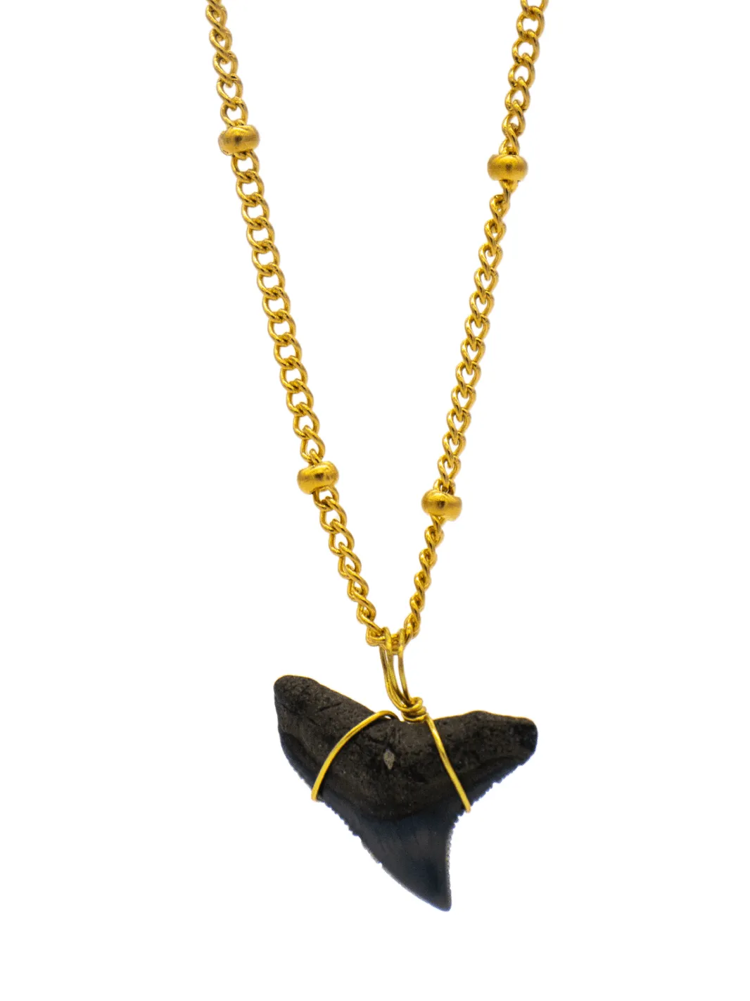 Shark Tooth Necklaces- Handmade by MSC